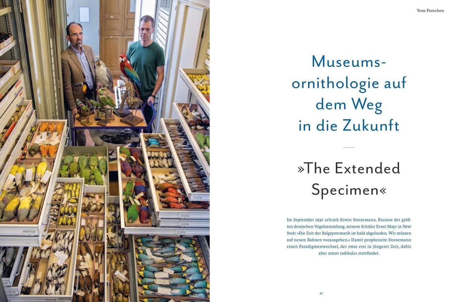 Bild: 9783957284105 | Vogelwelten | Expeditionen ins Museum | Klaus Nigge (u. a.) | Buch