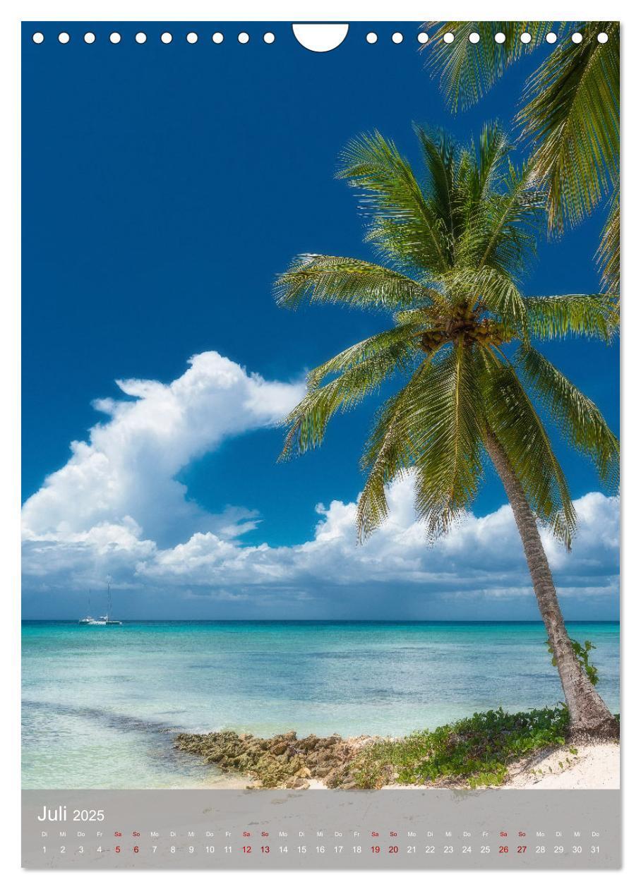 Bild: 9783435916689 | Karibischer Traum Isla Saona (Wandkalender 2025 DIN A4 hoch),...