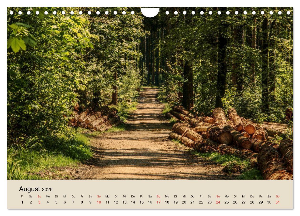 Bild: 9783435318612 | Der Wald. Durch zauberhafte Waldlandschaften (Wandkalender 2025 DIN...