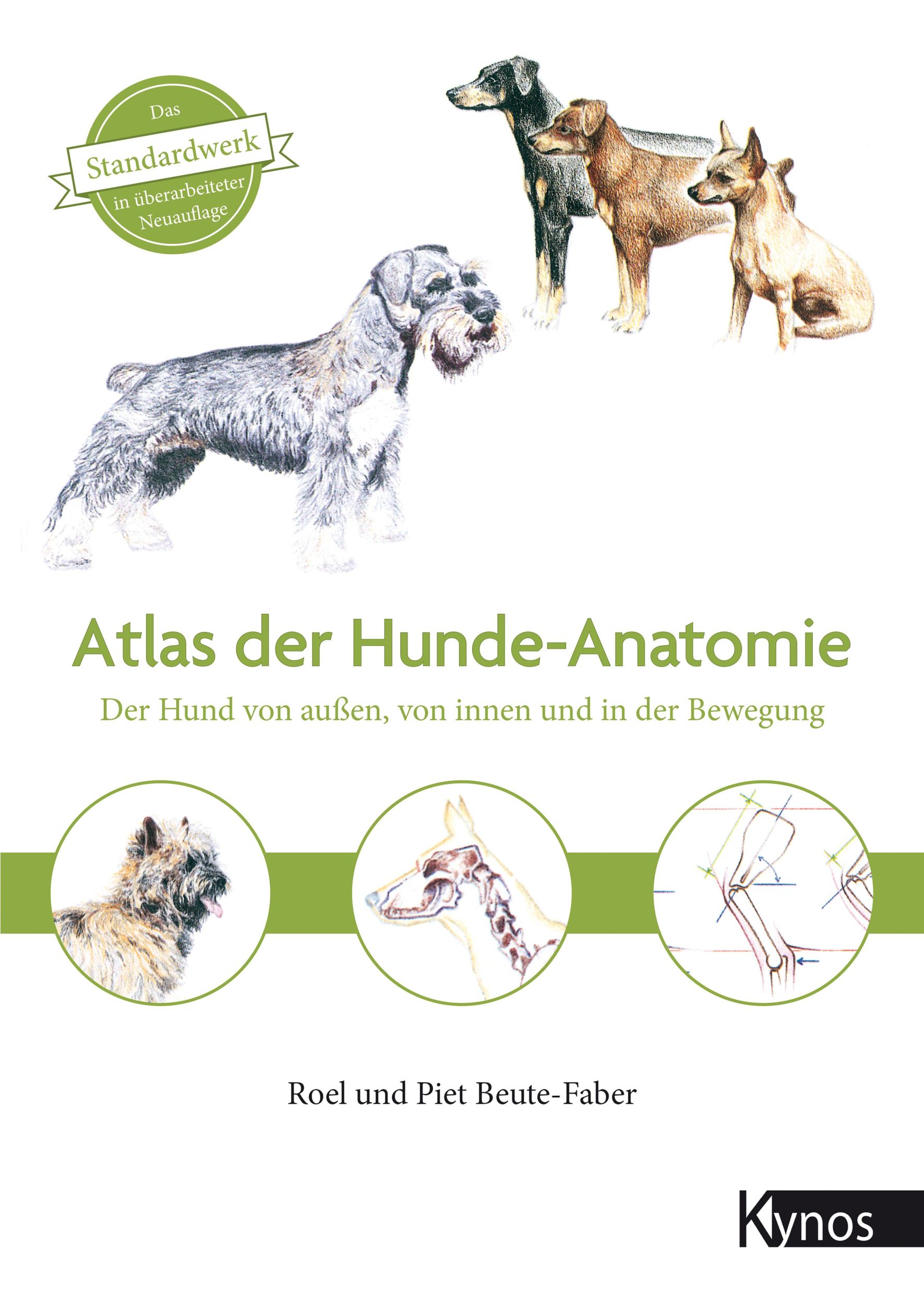 Cover: 9783954642090 | Atlas der Hundeanatomie | Roel Beute-Faber (u. a.) | Buch | 179 S.