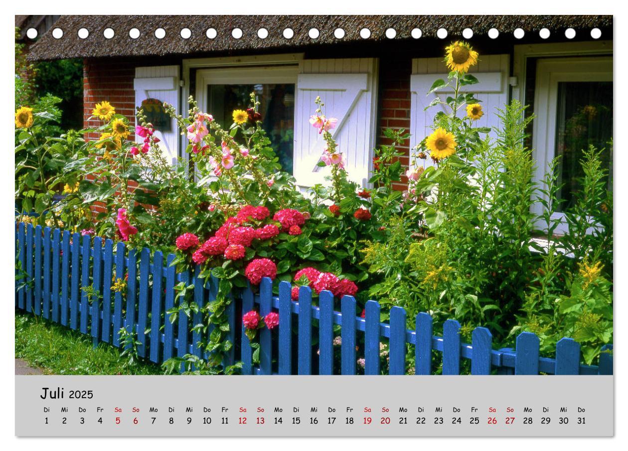 Bild: 9783435227211 | Blumen überall, zur Freude Menschen (Tischkalender 2025 DIN A5...