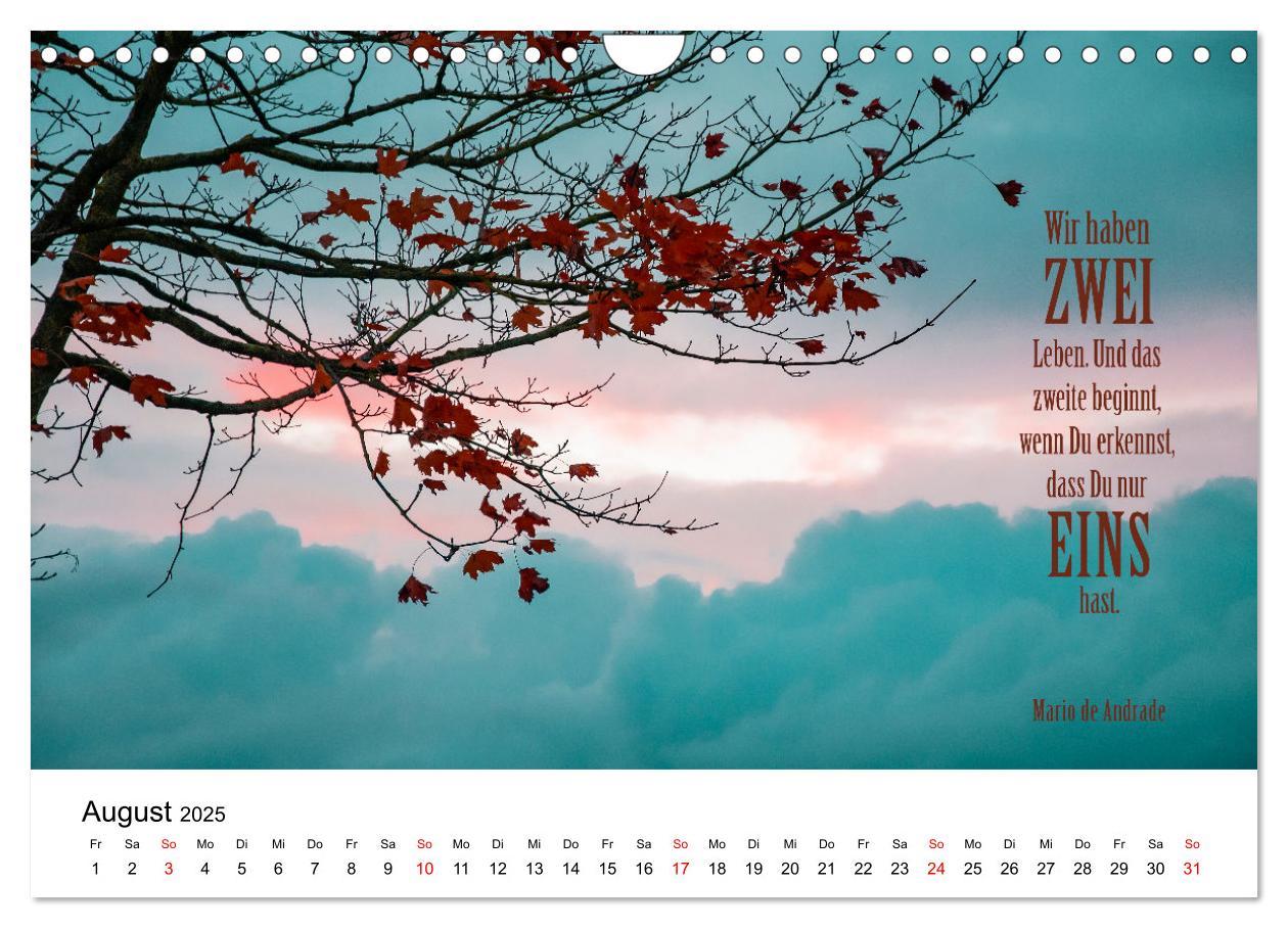 Bild: 9783383971495 | Zitate fürs Leben (Wandkalender 2025 DIN A4 quer), CALVENDO...