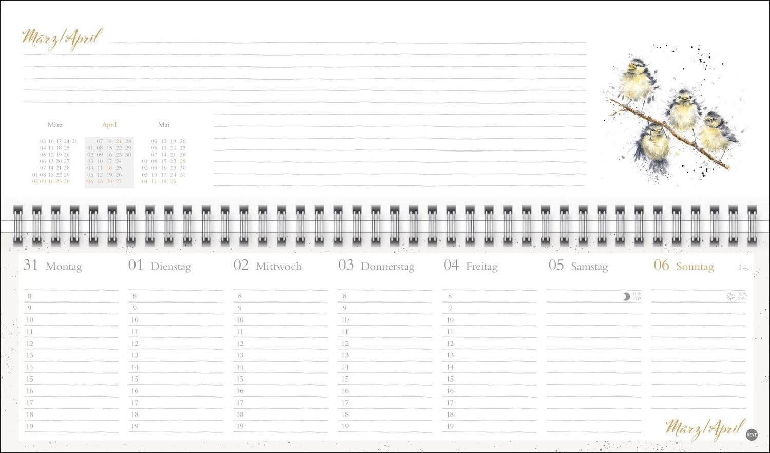 Bild: 9783756406616 | Hannah Dale : Wochenquerplaner 2025 | Hannah Dale | Kalender | 112 S.