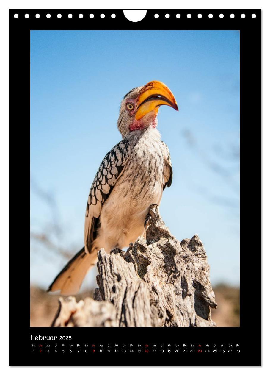 Bild: 9783457029428 | Südafrika und seine Tierwelt (Wandkalender 2025 DIN A4 hoch),...