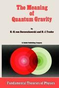 Cover: 9789027725189 | The Meaning of Quantum Gravity | H. J. Treder (u. a.) | Buch | viii