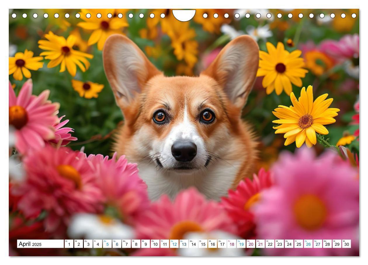 Bild: 9783383776069 | Happy Corgis (Wandkalender 2025 DIN A4 quer), CALVENDO Monatskalender