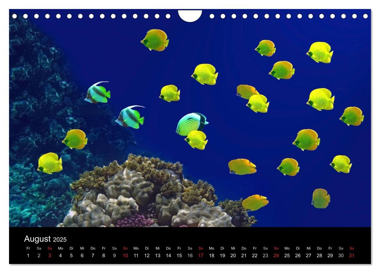 Bild: 9783435659609 | Träume unter Wasser (Wandkalender 2025 DIN A4 quer), CALVENDO...