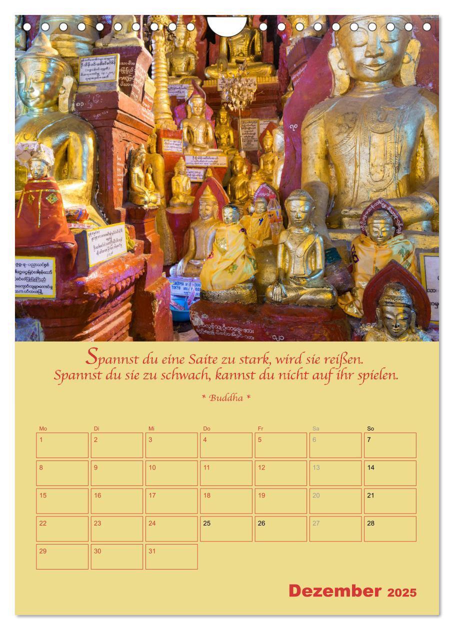 Bild: 9783435928484 | BUDDHA IN GOLD - Mit buddhistischen Sprüchen (Wandkalender 2025 DIN...