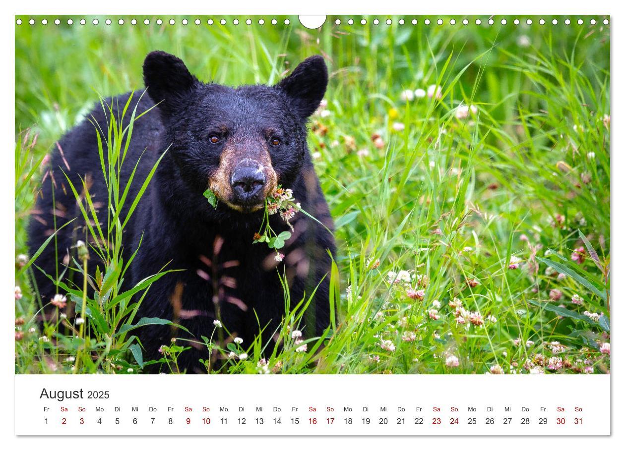 Bild: 9783383926259 | British Columbia - Faszination Kanada (Wandkalender 2025 DIN A3...