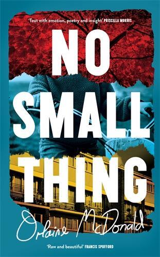 Cover: 9781800815582 | No Small Thing | Orlaine McDonald | Buch | Gebunden | Englisch | 2024