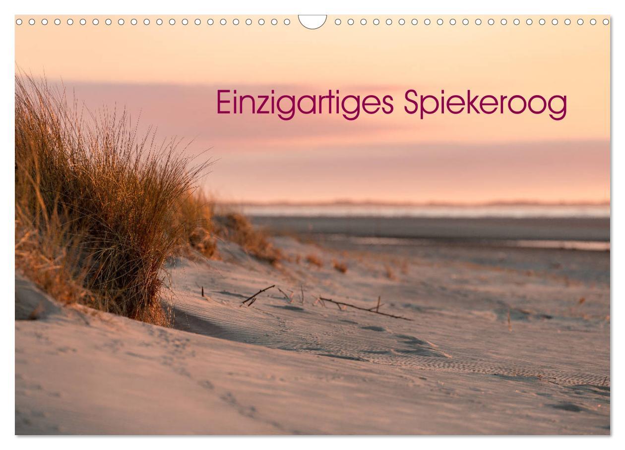 Cover: 9783435367696 | Einzigartiges Spiekeroog (Wandkalender 2025 DIN A3 quer), CALVENDO...