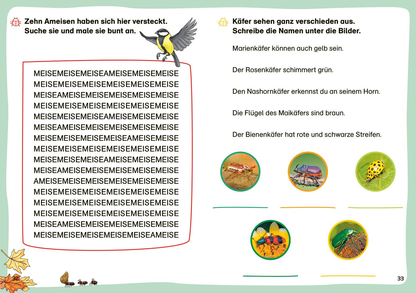 Bild: 9783788681418 | WAS IST WAS Erstes Lesen. Leserätsel Insekten | Christina Braun | 2024