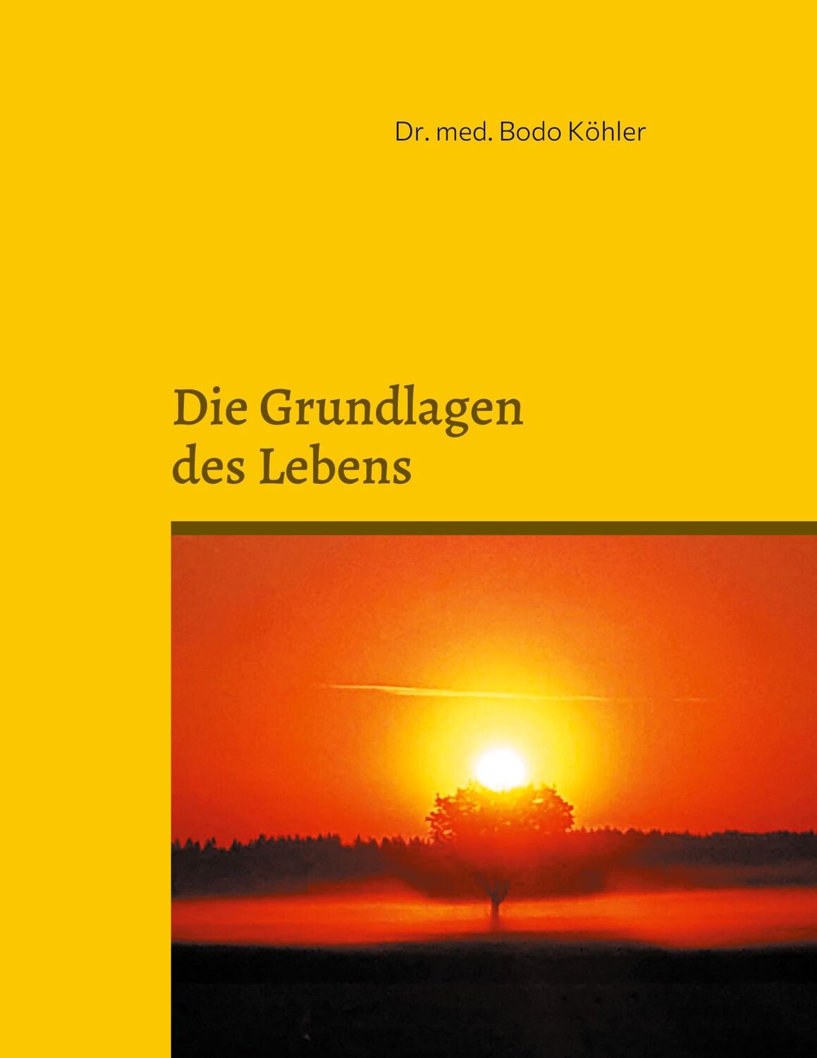 Cover: 9783833455988 | Grundlagen des Lebens | Bodo Köhler | Taschenbuch | Paperback | 206 S.