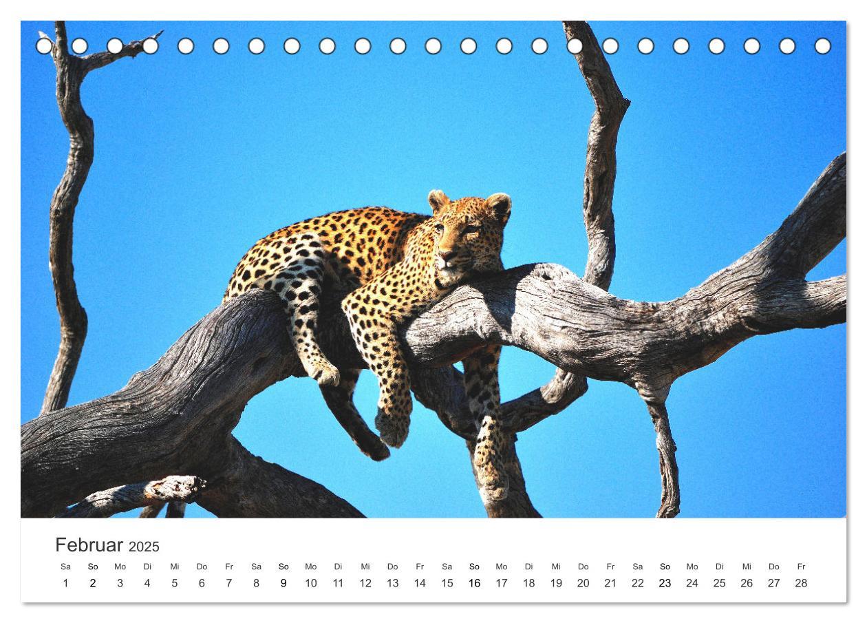 Bild: 9783383956713 | Botswana - Grandiose Wildnis (Tischkalender 2025 DIN A5 quer),...