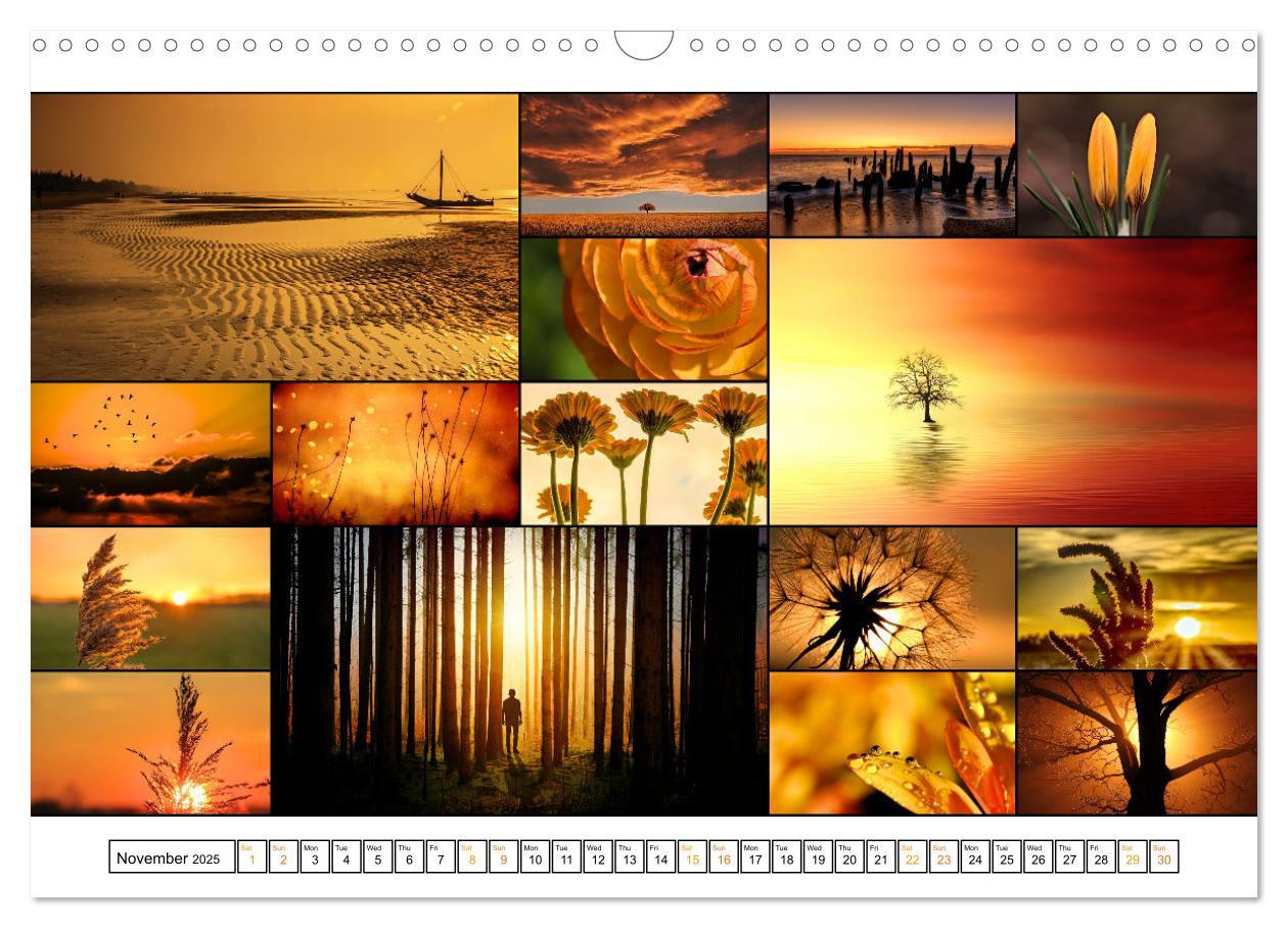 Bild: 9781325835355 | Colour Symphonies of the Earth (Wall Calendar 2025 DIN A3...