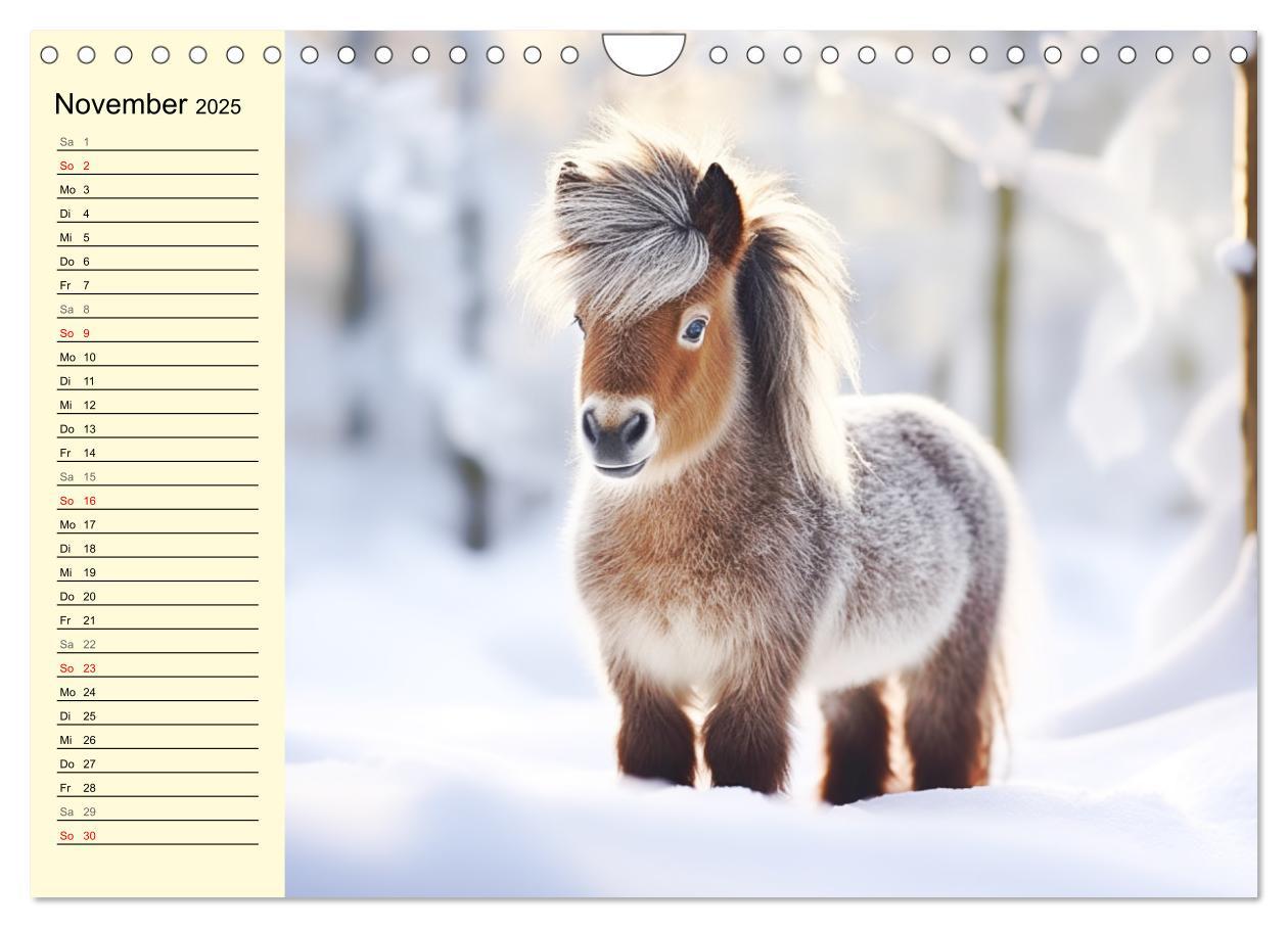 Bild: 9783435011605 | Kleine Pferde. Mini-Ponys zum verlieben (Wandkalender 2025 DIN A4...