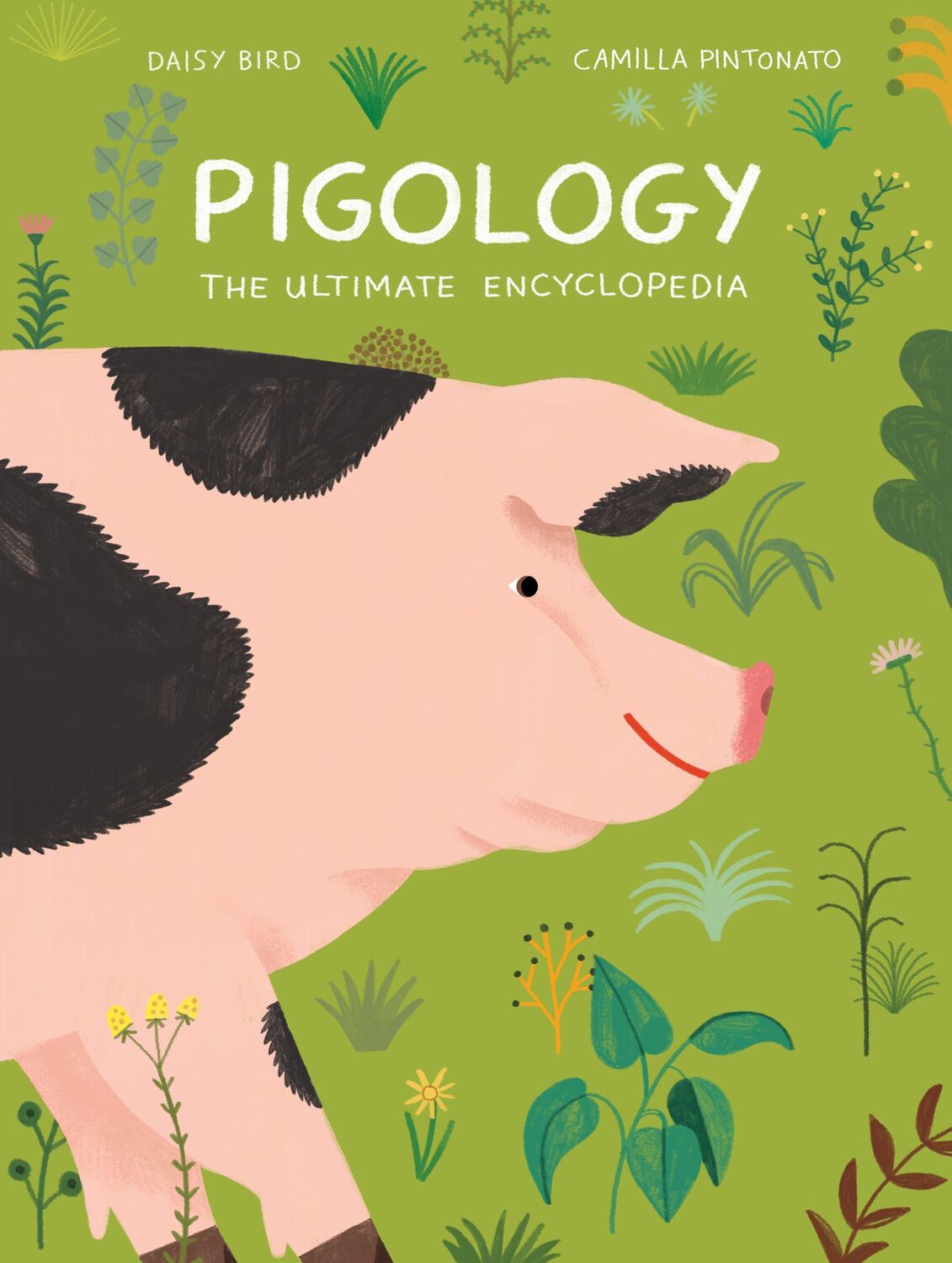 Cover: 9781616899899 | Pigology | The Ultimate Encyclopedia | Daisy Bird | Buch | Gebunden