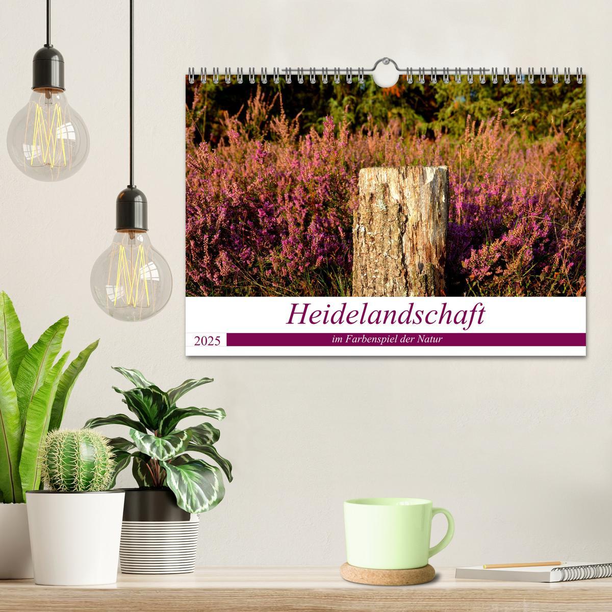 Bild: 9783435070862 | Heidelandschaft im Farbenspiel der Natur (Wandkalender 2025 DIN A4...