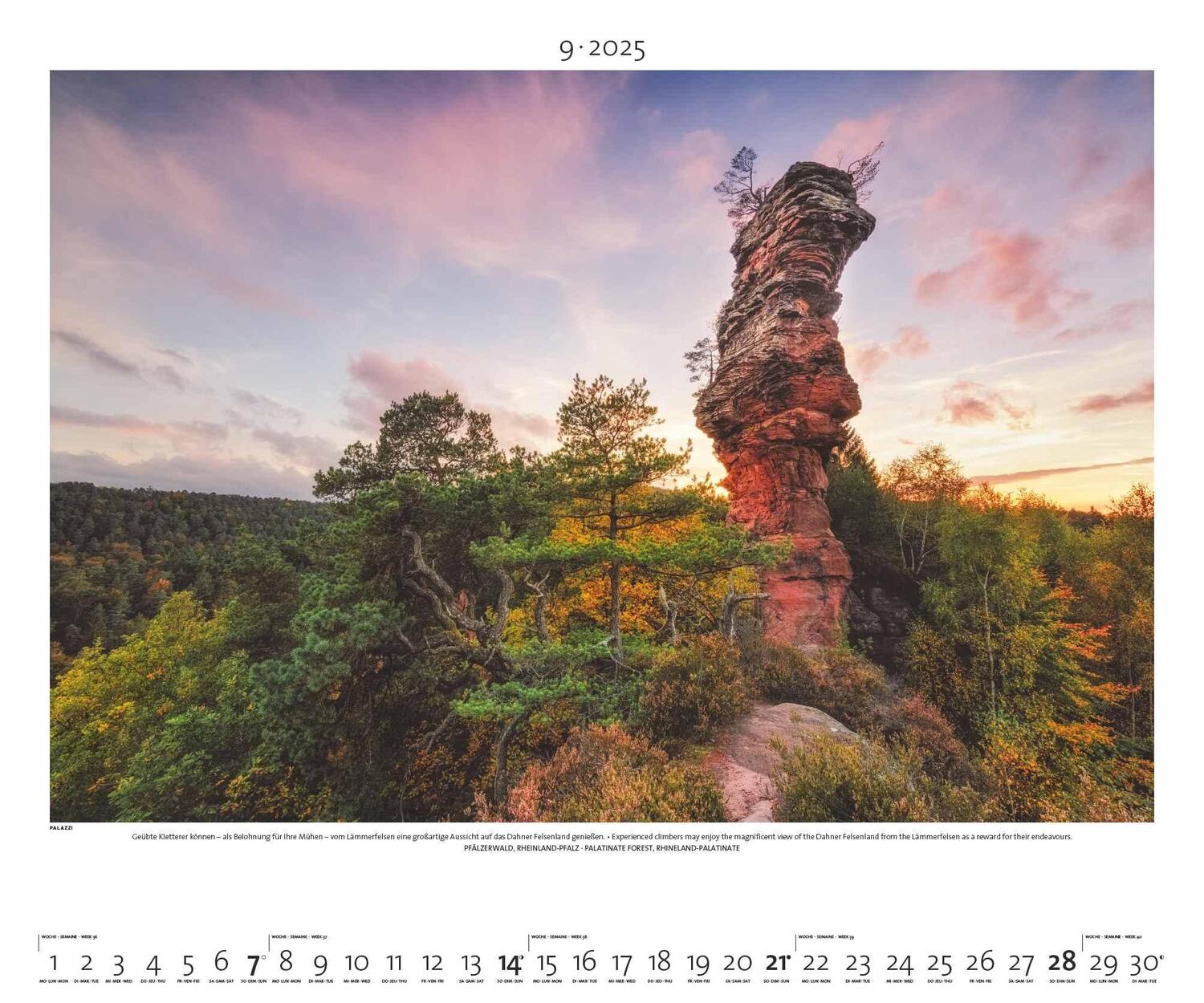 Bild: 4251734300744 | PALAZZI - Naturland Deutschland 2025 Wandkalender, 60x50cm,...