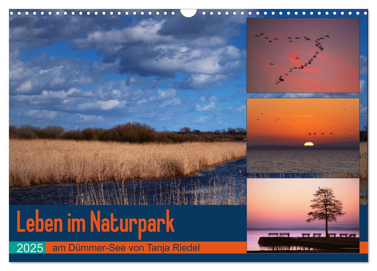 Cover: 9783435158133 | Leben am Naturpark um den Dümmer See (Wandkalender 2025 DIN A3...