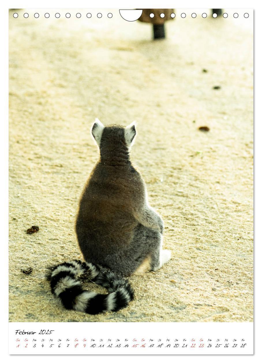 Bild: 9783435968855 | Tierwelten - aus dem ältesten Tiergarten der Welt (Wandkalender...