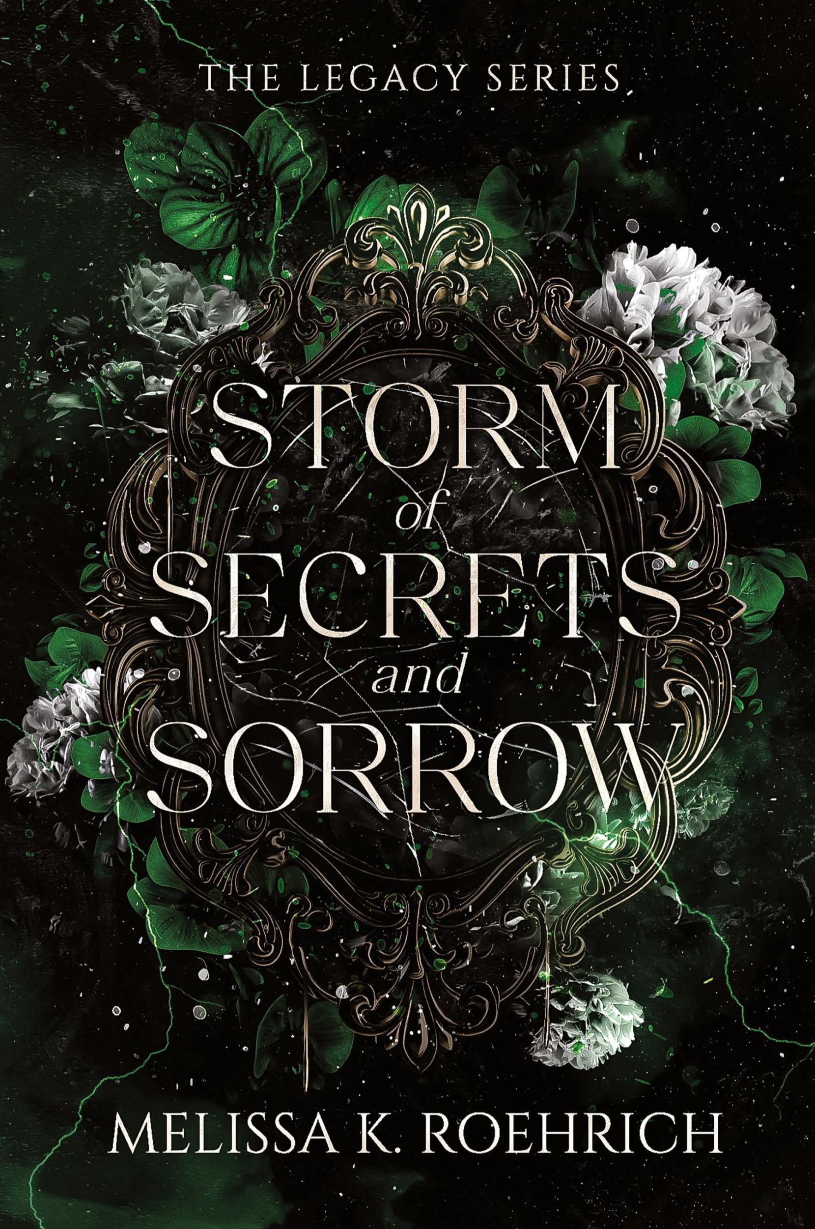 Cover: 9781960923080 | Storm of Secrets and Sorrow | Melissa Roehrich | Taschenbuch | 2024