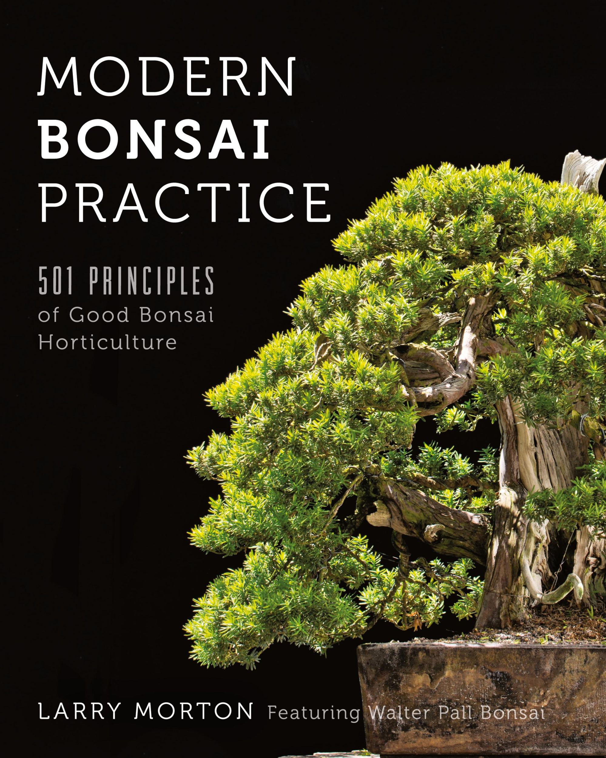 Cover: 9780692521397 | Modern Bonsai Practice | 501 Principles of Good Bonsai Horticulture