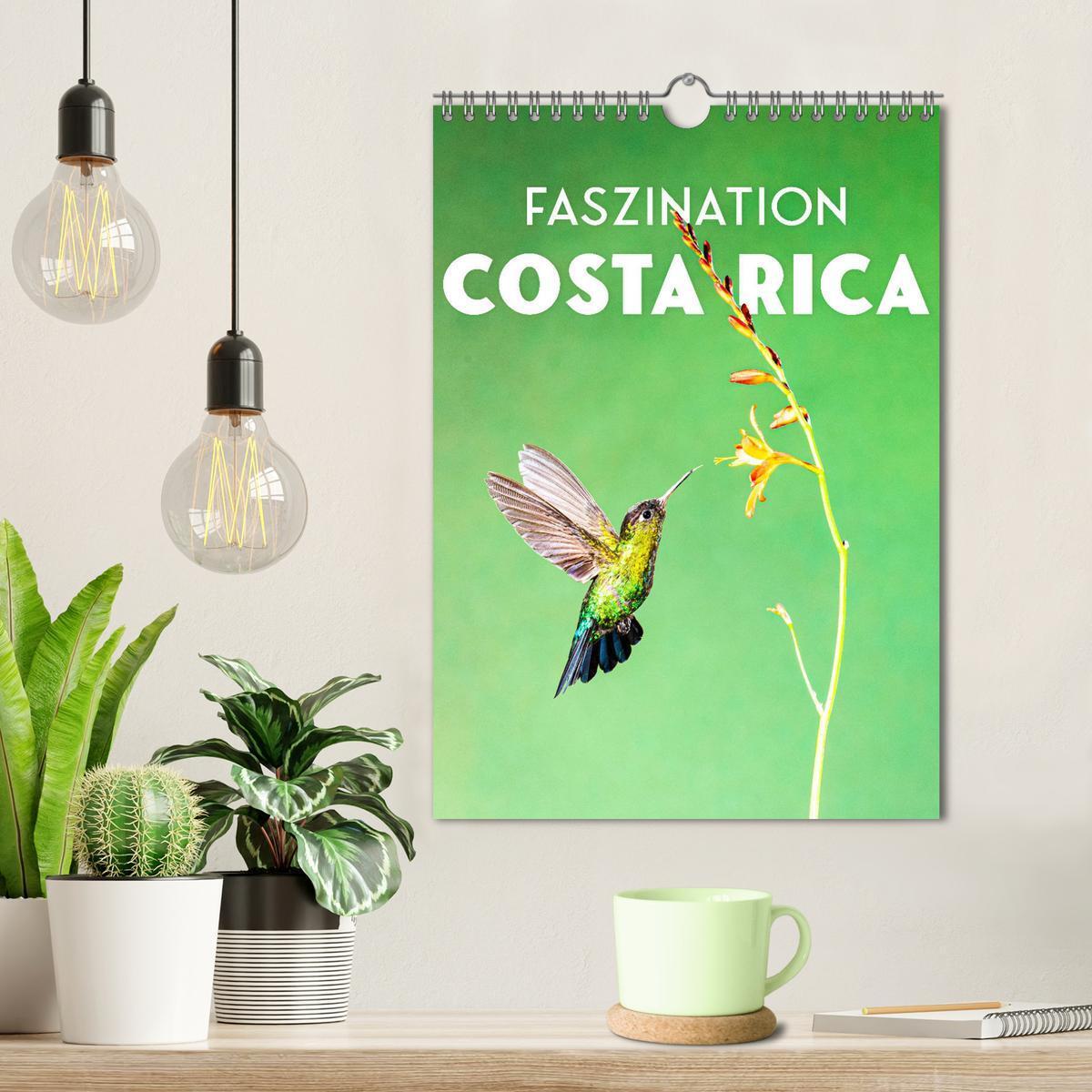 Bild: 9783435914760 | Faszination Costa Rica (Wandkalender 2025 DIN A4 hoch), CALVENDO...