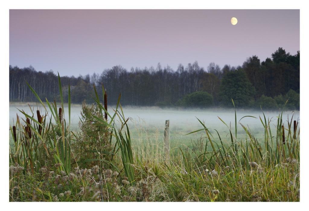 Bild: 9783941803084 | Die Mecklenburgische Seenplatte | Buch | Deutsch | 2012 | Hahn, Jrg