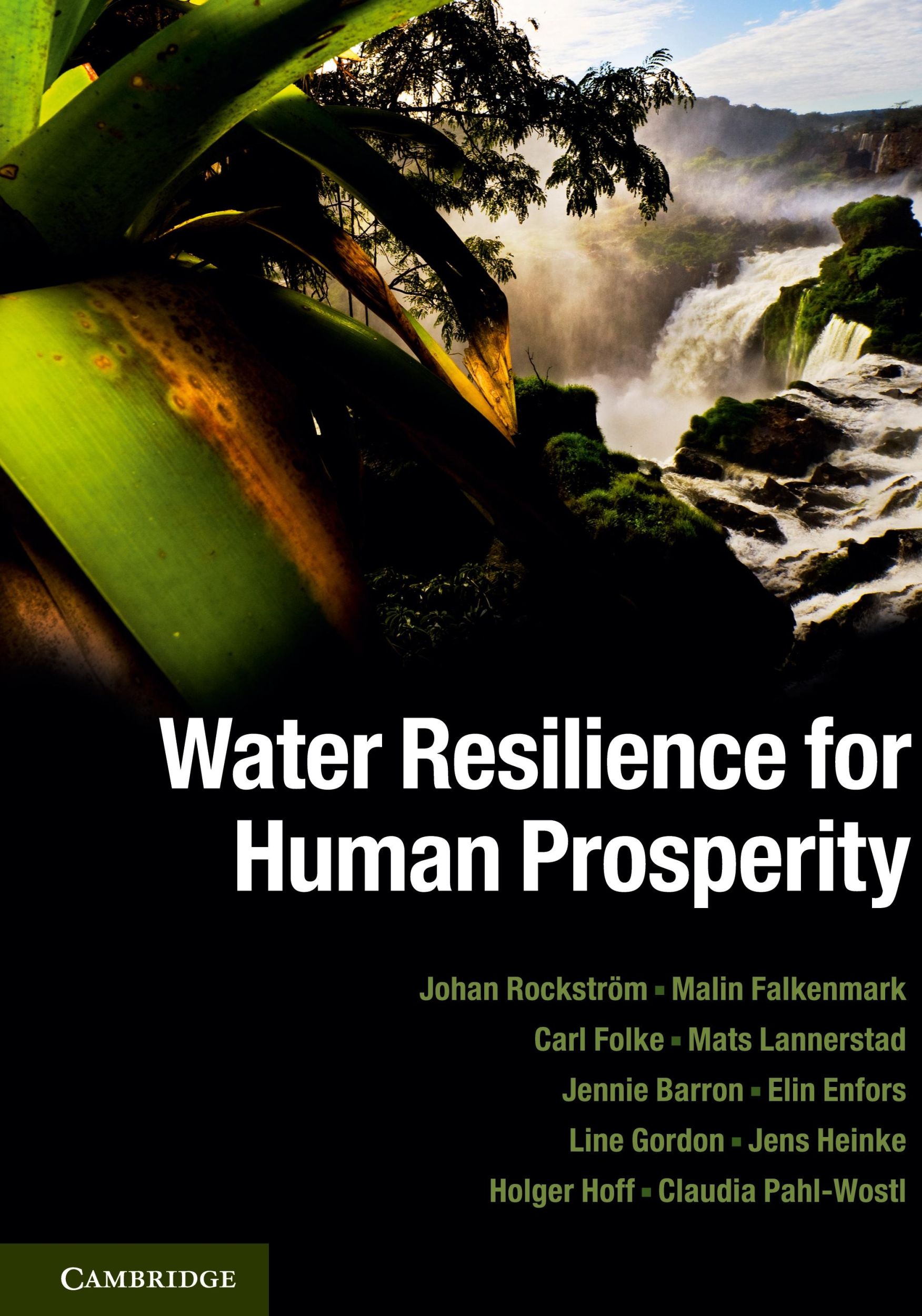 Cover: 9781107024199 | Water Resilience for Human Prosperity | Johan Rockström (u. a.) | Buch