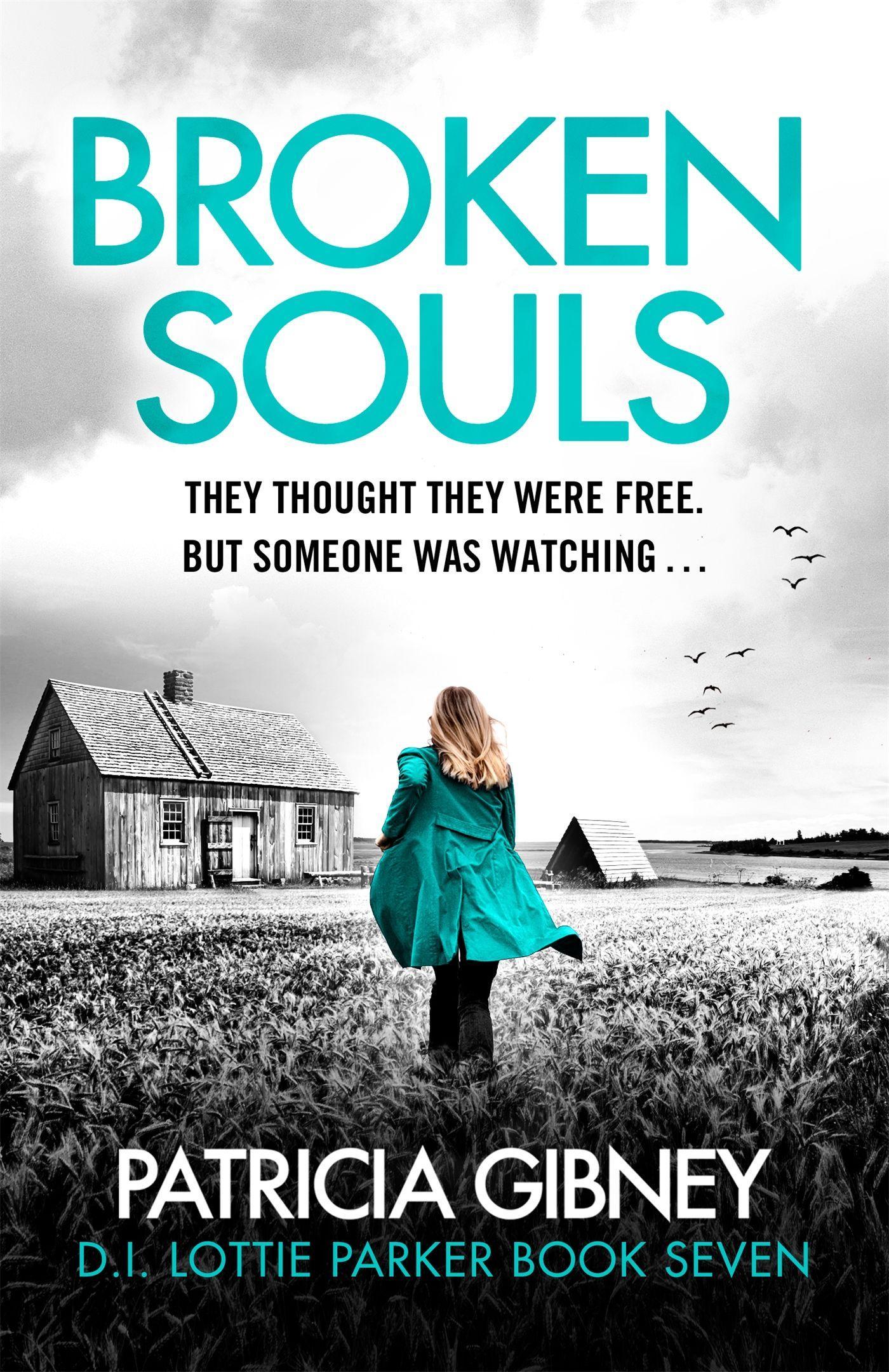 Cover: 9780751582680 | Broken Souls | Patricia Gibney | Taschenbuch | Kartoniert / Broschiert