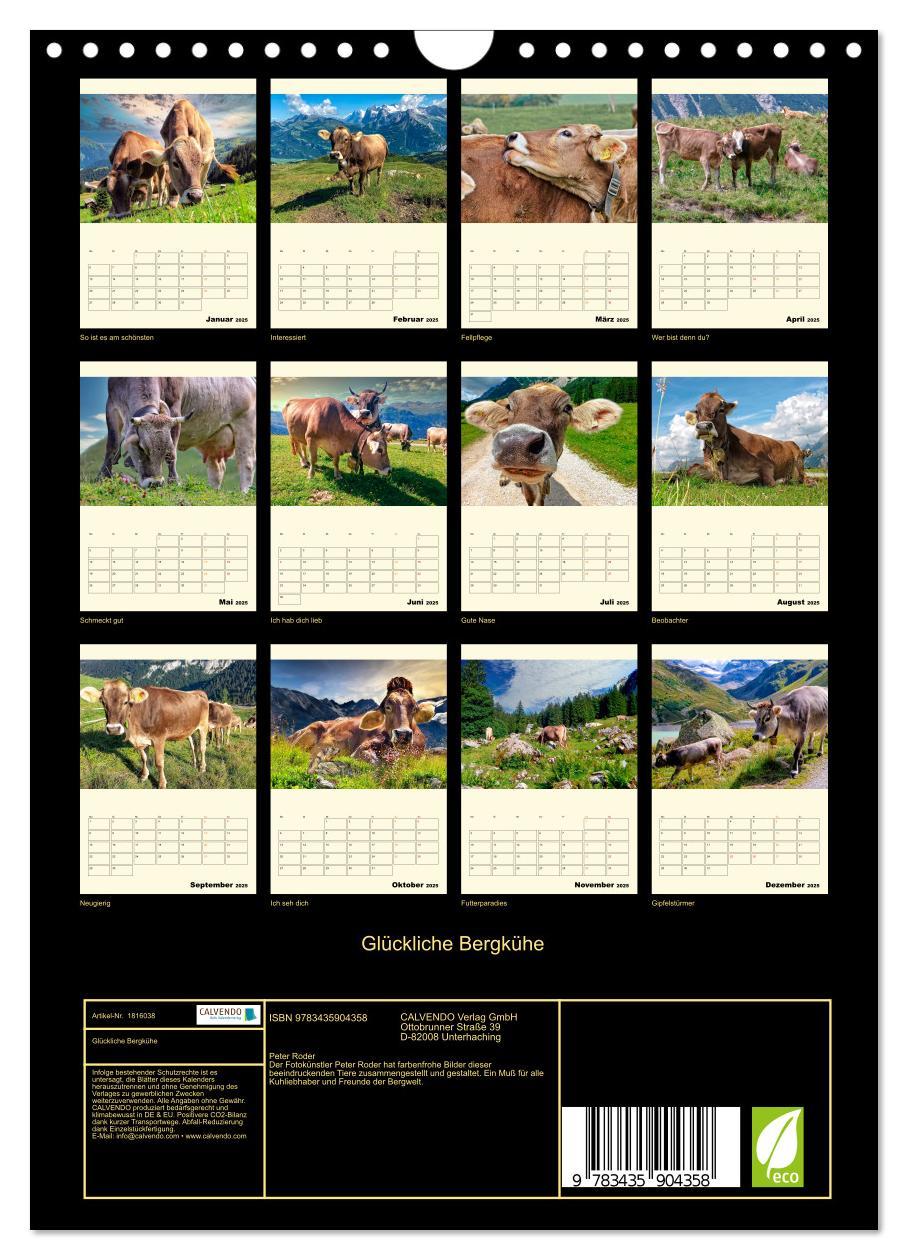 Bild: 9783435904358 | Glückliche Bergkühe (Wandkalender 2025 DIN A4 hoch), CALVENDO...