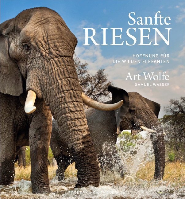 Cover: 9783954163069 | Sanfte Riesen | Hoffnung für die wilden Elefanten | Wolfe | Buch