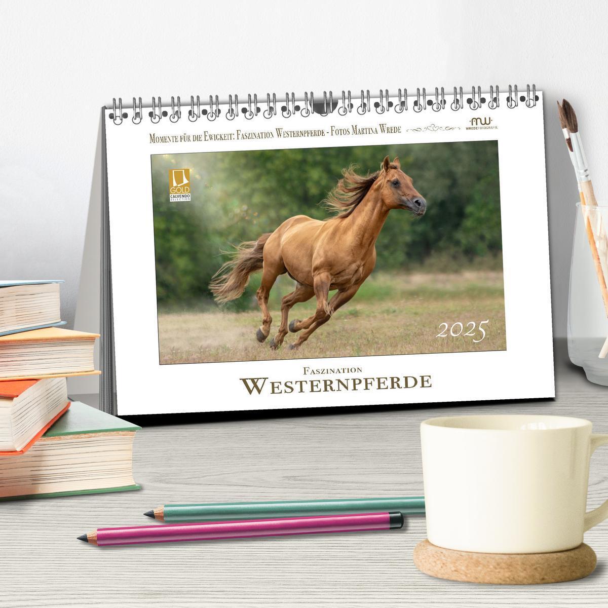 Bild: 9783435087204 | Faszination Westernpferde (Tischkalender 2025 DIN A5 quer),...