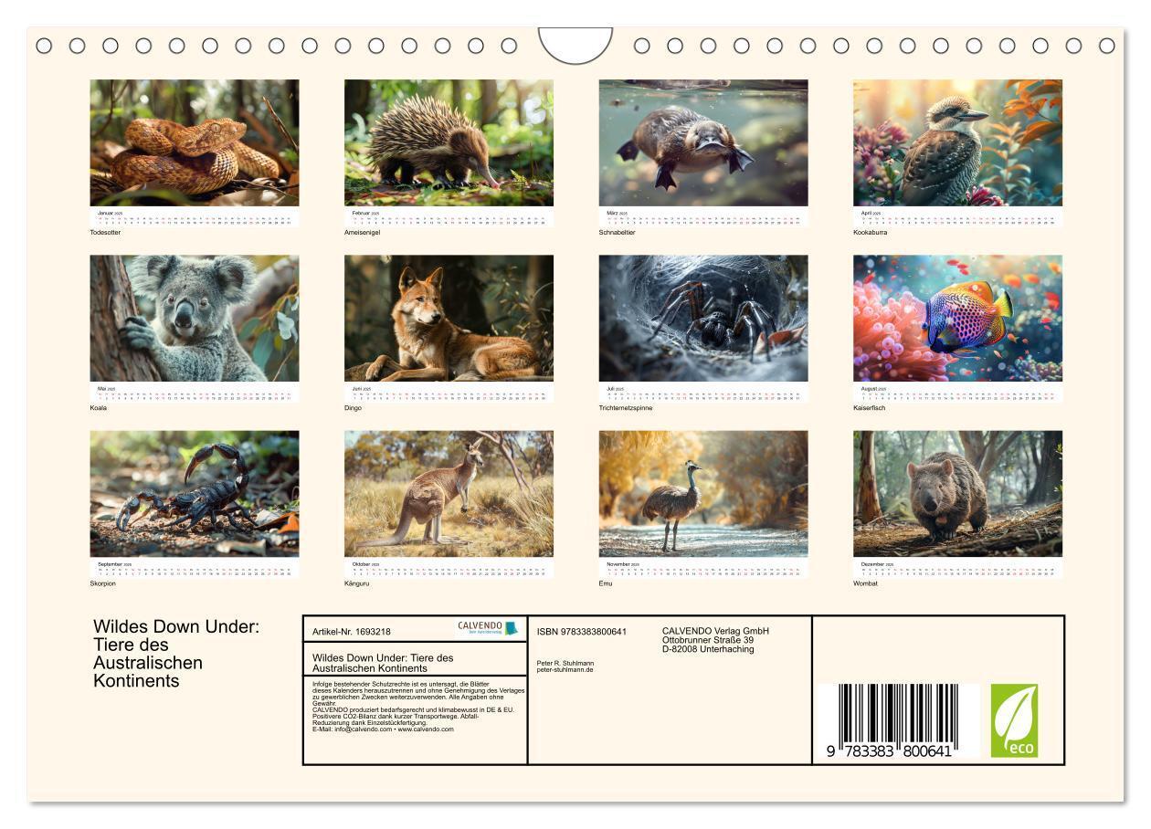 Bild: 9783383800641 | Wildes Down Under: Tiere des Australischen Kontinents (Wandkalender...