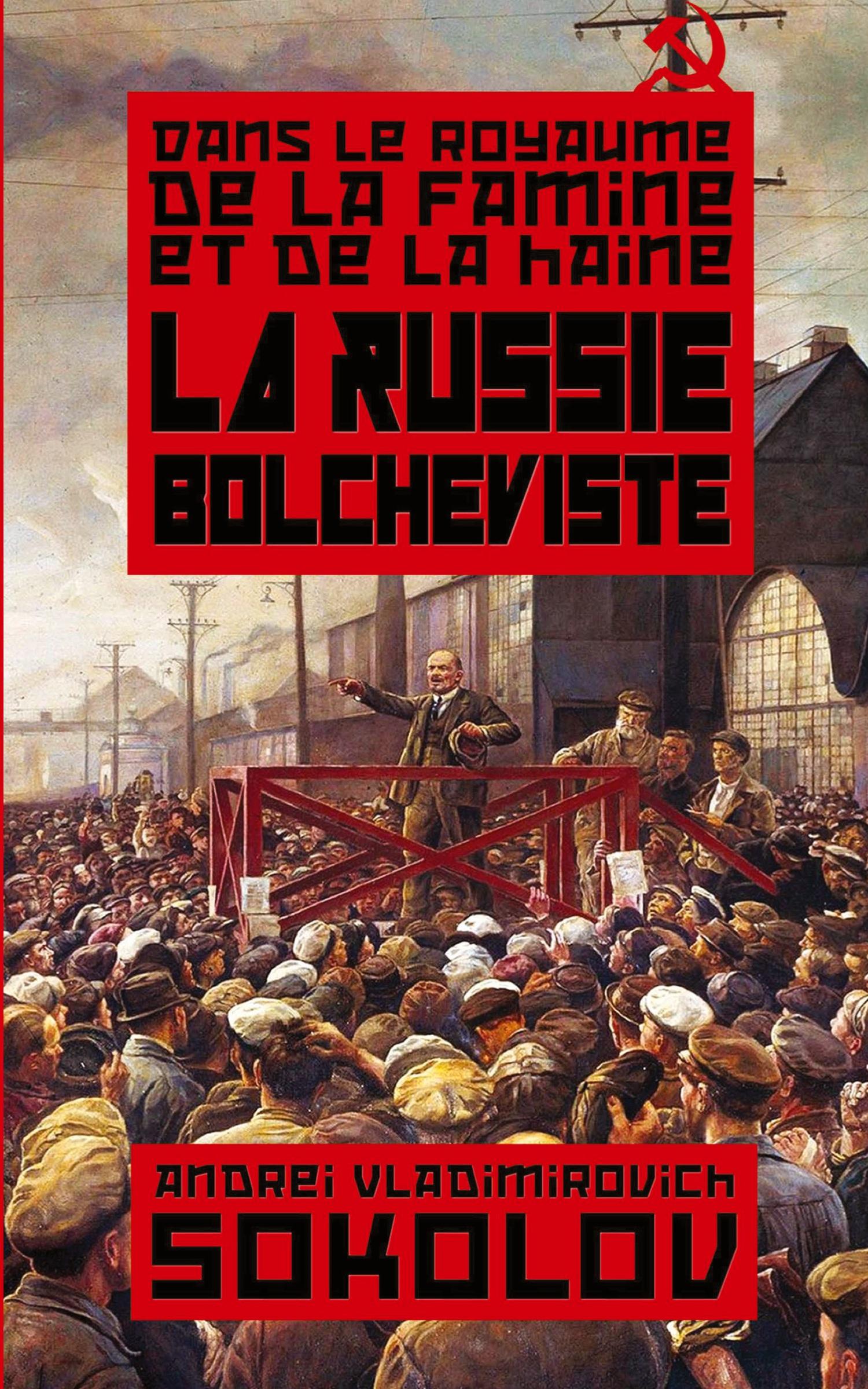 Cover: 9781637908495 | La Russie bolcheviste | Andrei Vladimirovich Sokolov (u. a.) | Buch