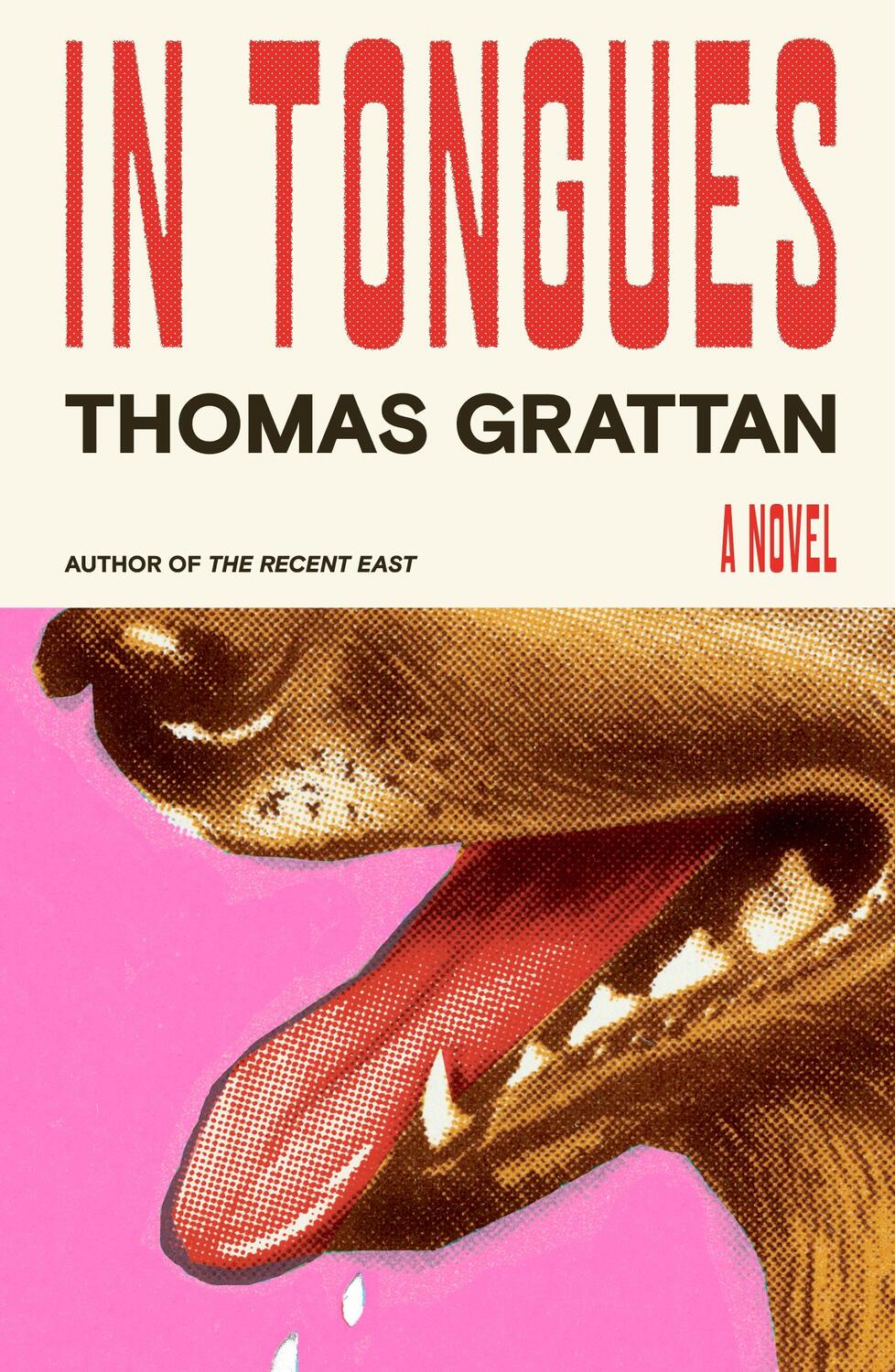 Cover: 9780374608187 | In Tongues | Thomas Grattan | Buch | Englisch | 2024