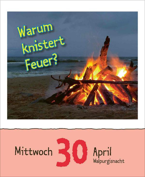 Bild: 9783731877363 | Warum wackelt Wackelpudding? 2025 | Verlag Korsch | Kalender | 328 S.