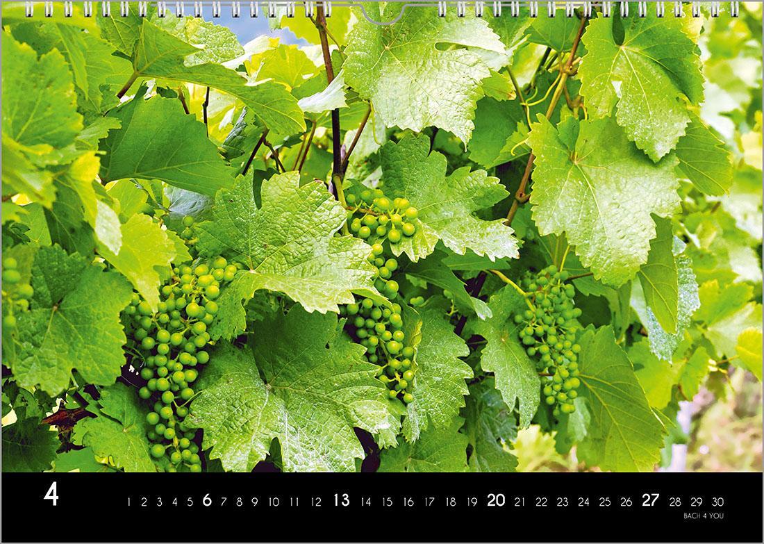 Bild: 9783969031087 | Der Weinkalender 2025, DIN A3 - ein Fotokalender | Peter Bach Jr.