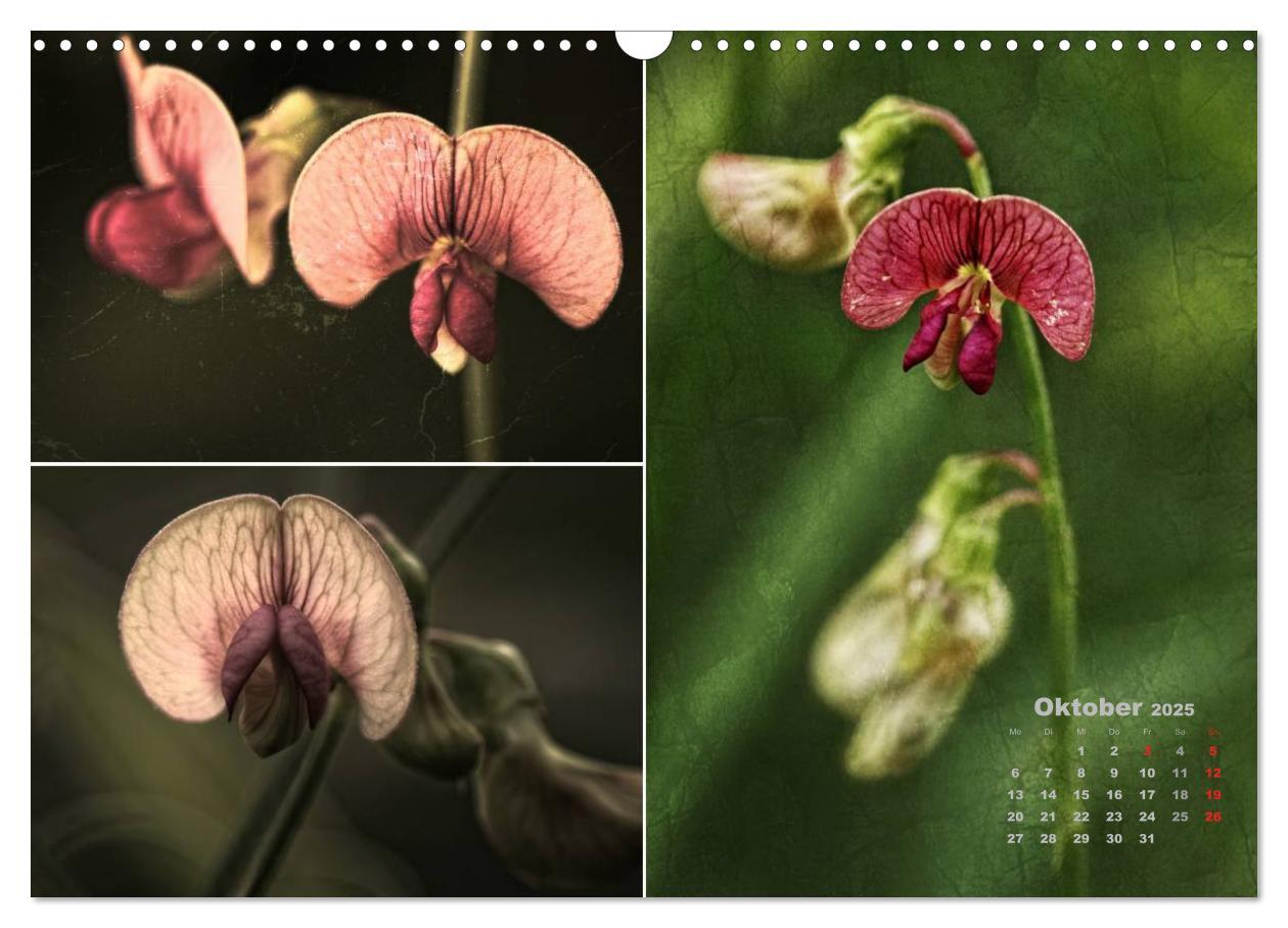 Bild: 9783435612109 | Blumenreise 2025 (Wandkalender 2025 DIN A3 quer), CALVENDO...