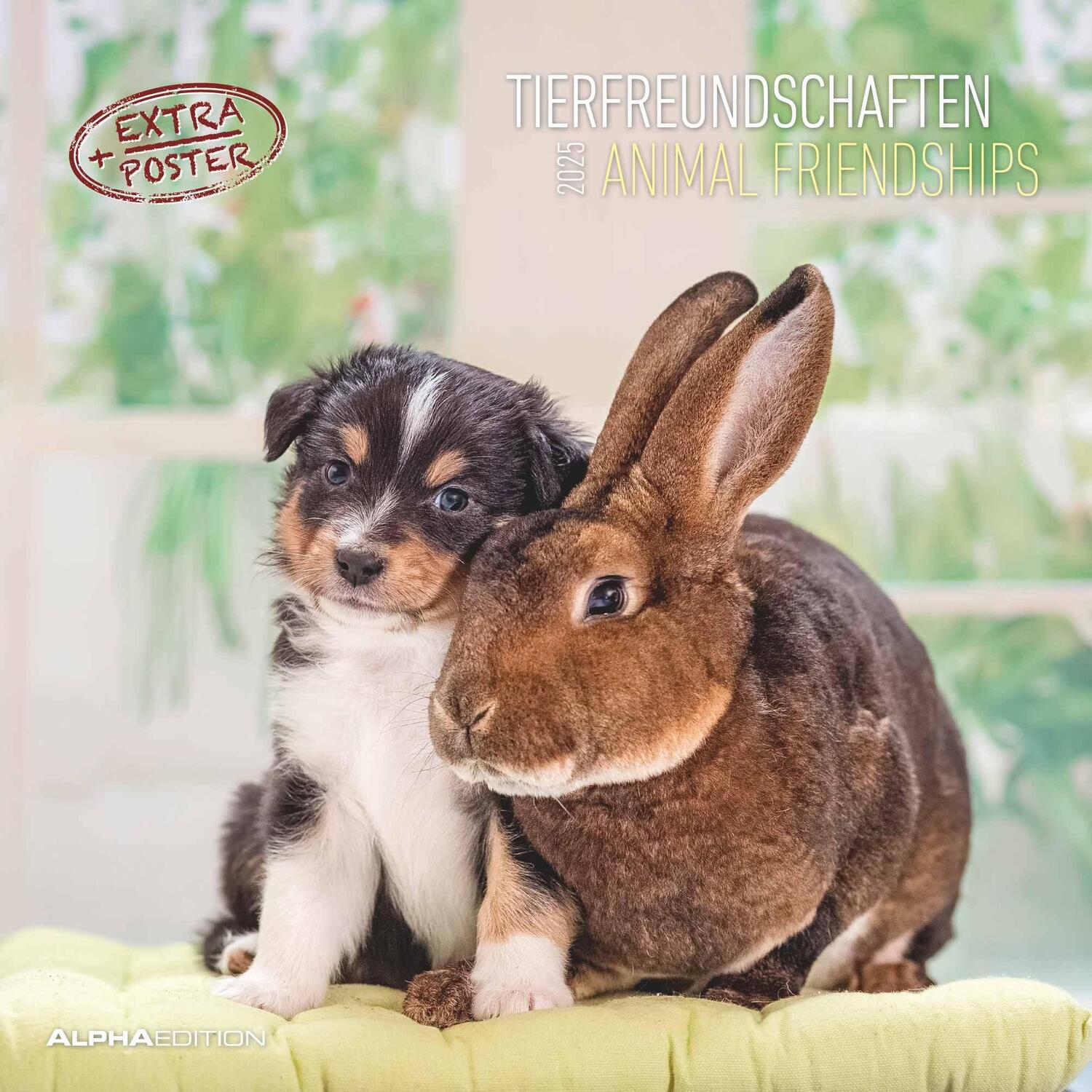 Cover: 4251732340780 | Tierfreundschaften 2025 - Broschürenkalender 30x30 cm (30x60...