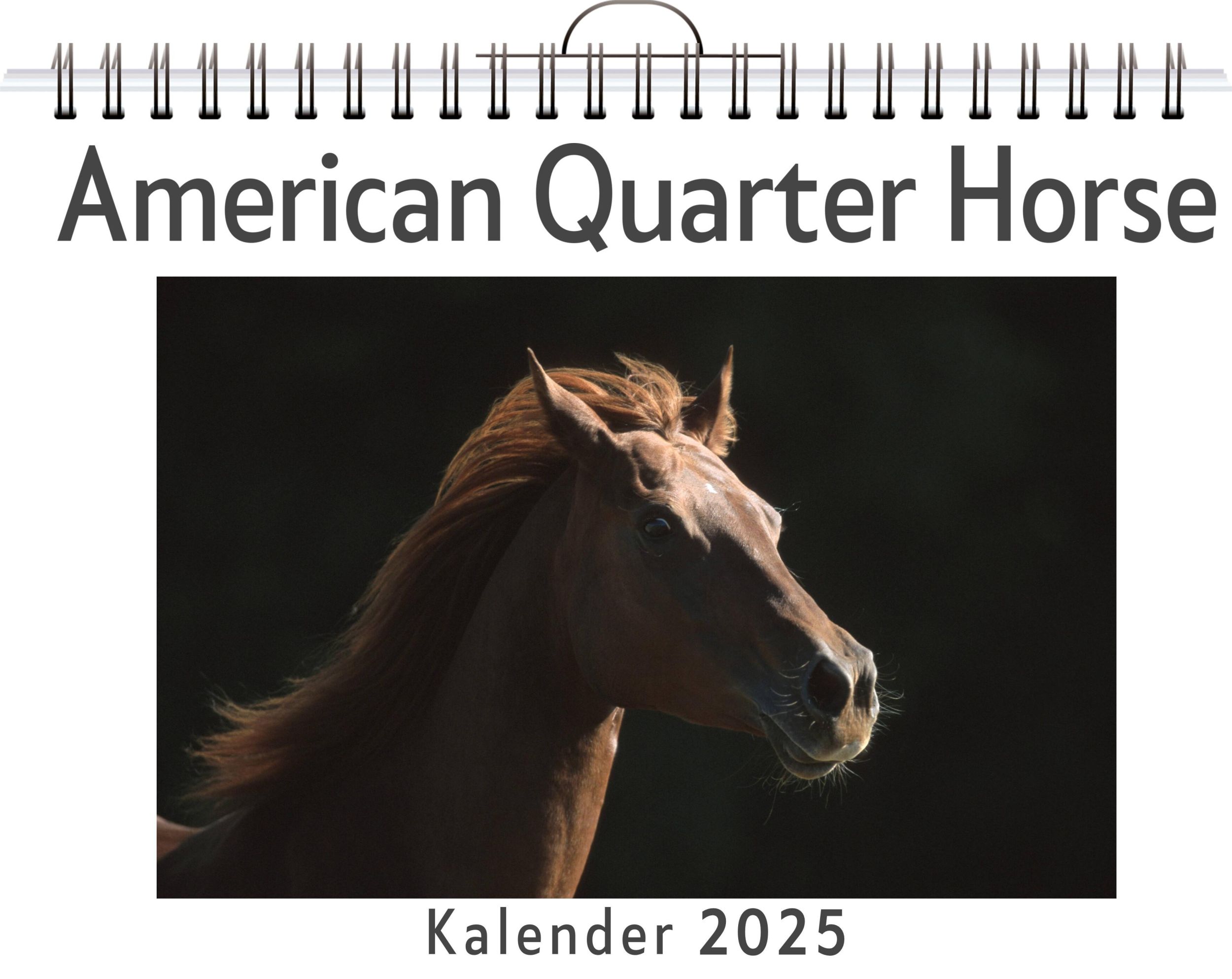 Cover: 9783759132314 | American Quarter Horse | Luca Weber | Kalender | Kalender | 14 S.