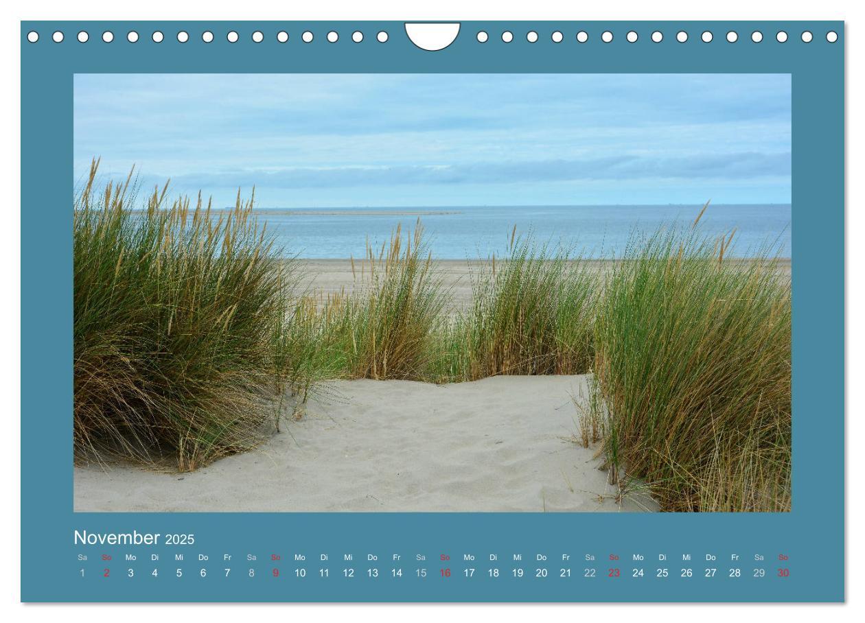 Bild: 9783435276707 | Sanddünen an der Nordsee in den Niederlanden (Wandkalender 2025 DIN...