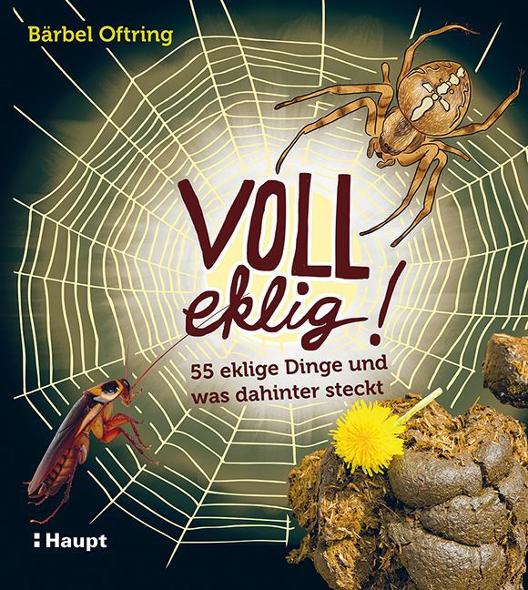 Cover: 9783258078434 | Voll eklig! | 55 eklige Dinge und was dahinter steckt | Bärbel Oftring