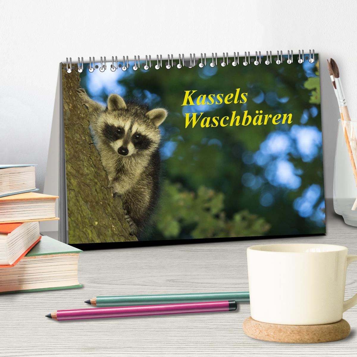 Bild: 9783435173990 | Kassels Waschbären (Tischkalender 2025 DIN A5 quer), CALVENDO...