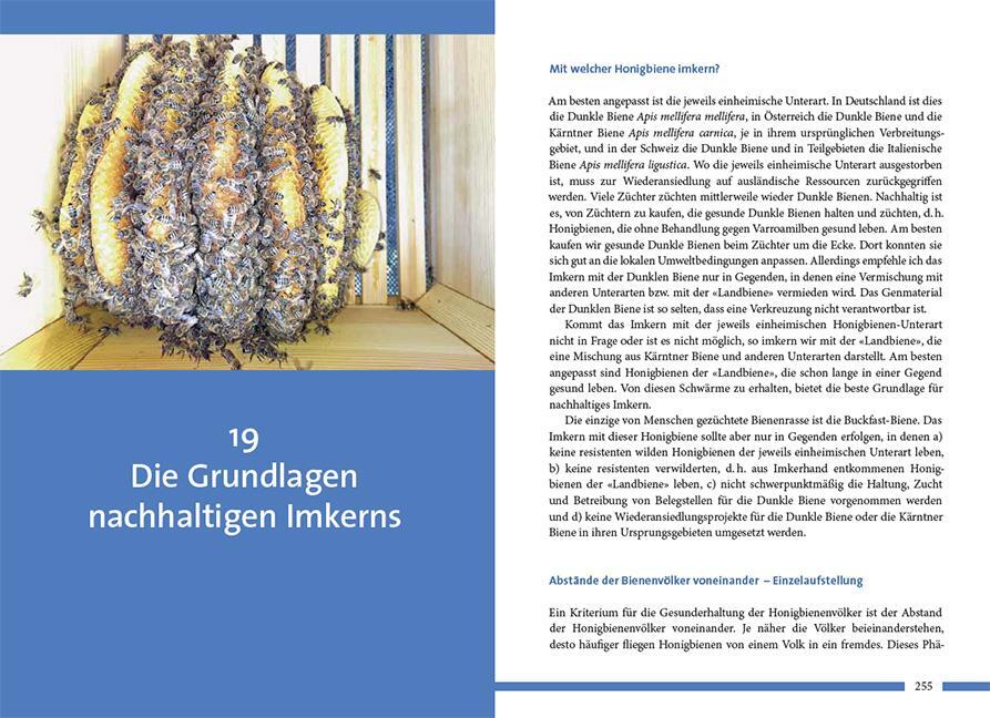 Bild: 9783258083698 | Nachhaltig Imkern mit gesunden Honigbienen | Sigrun Mittl | Buch