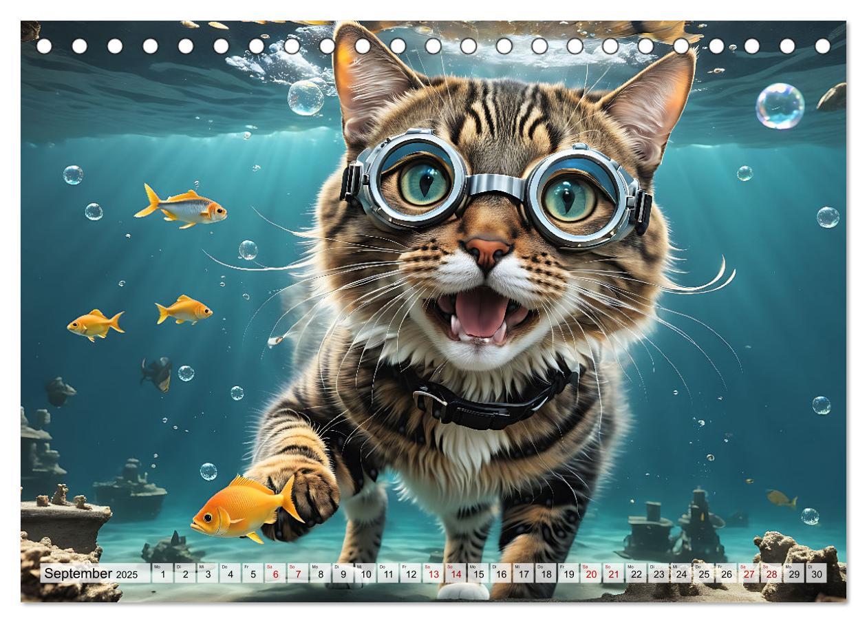 Bild: 9783383843945 | Katzen unter Wasser (Tischkalender 2025 DIN A5 quer), CALVENDO...