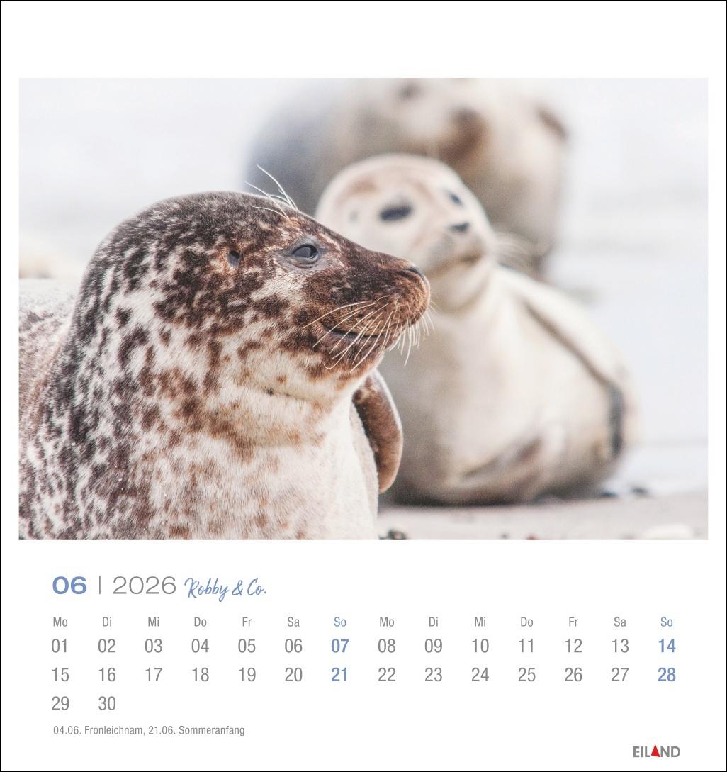 Bild: 9783964024107 | Robby &amp; Co. Postkartenkalender 2026 | Kalender | Spiralbindung | 13 S.