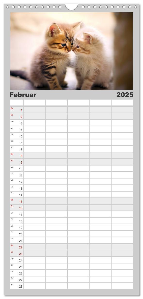 Bild: 9783457090480 | Familienplaner 2025 - Unzertennlich mit 5 Spalten (Wandkalender, 21...