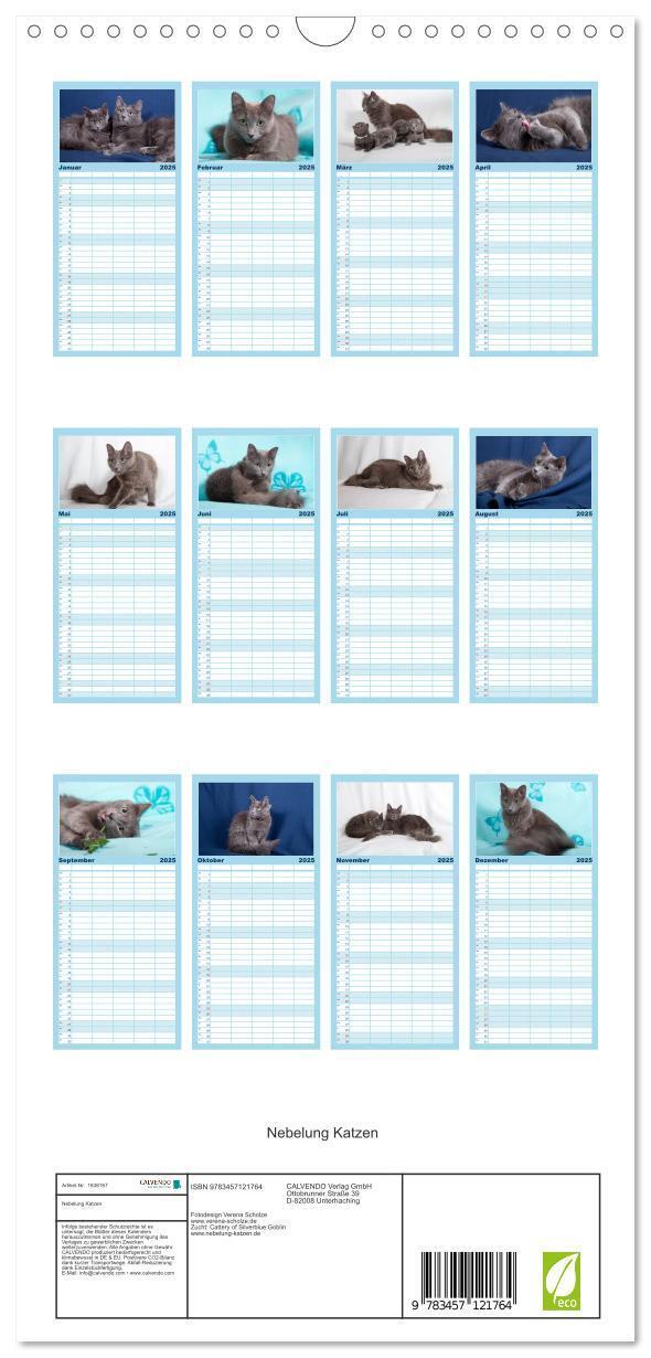 Bild: 9783457121764 | Familienplaner 2025 - Nebelung Katzen mit 5 Spalten (Wandkalender,...